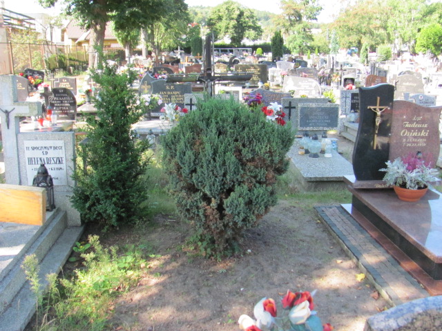 Weronika Osińska Reda - Grobonet - Wyszukiwarka osób pochowanych