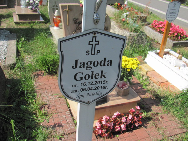 Jagoda Gołek 2015 Reda - Grobonet - Wyszukiwarka osób pochowanych