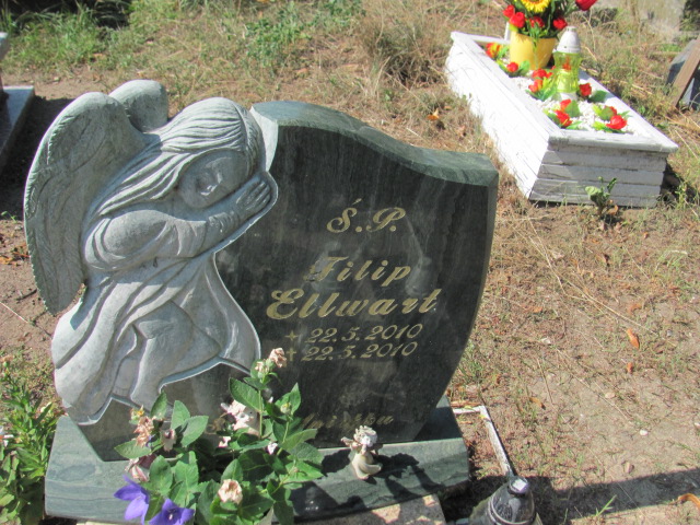 Filip Ellwart 2010 Reda - Grobonet - Wyszukiwarka osób pochowanych