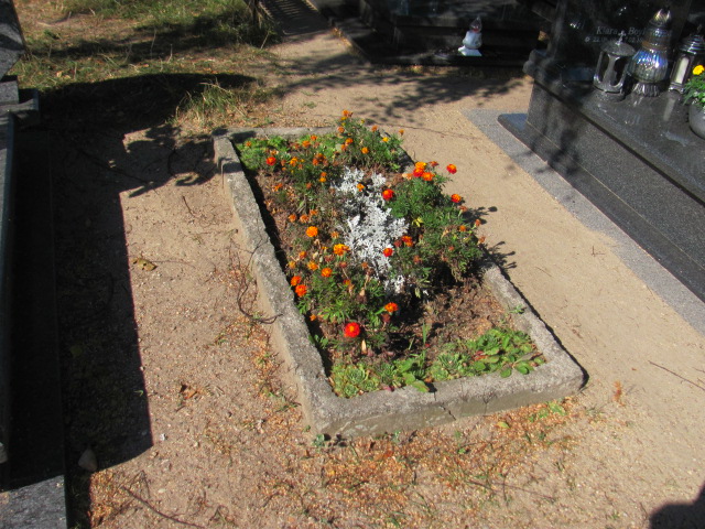 Józefa Szymelfenig 1903 Reda - Grobonet - Wyszukiwarka osób pochowanych