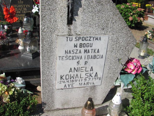 Aniela Kowalska 1894 Reda - Grobonet - Wyszukiwarka osób pochowanych