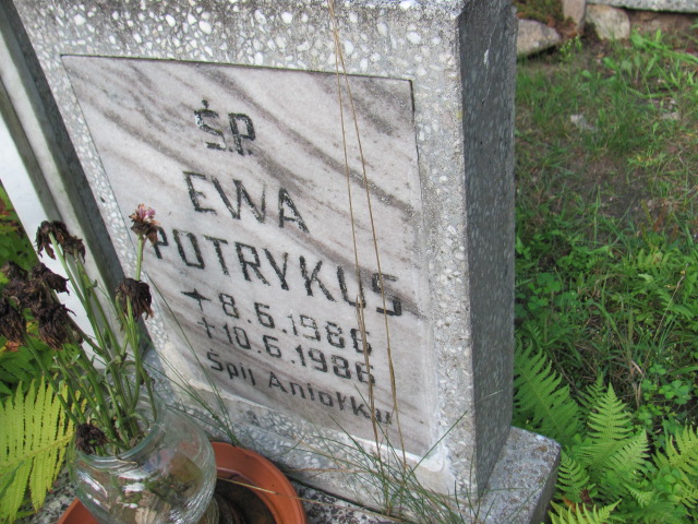 Ewa Potrykus 1986 Reda - Grobonet - Wyszukiwarka osób pochowanych