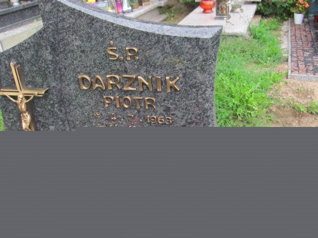 Ewa Darznik 1955 Reda - Grobonet - Wyszukiwarka osób pochowanych